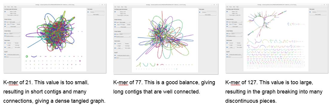 Bandage Output Example